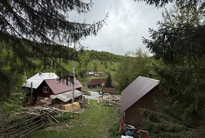 Casă individuală cu 6 camere cu Teren 386 Mp în Băișoara - 16