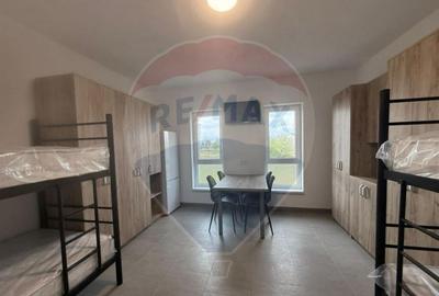 Cazare muncitori Sibiucamere dotate, pre? avantajos - 10