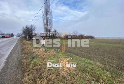Teren în Doina - 2