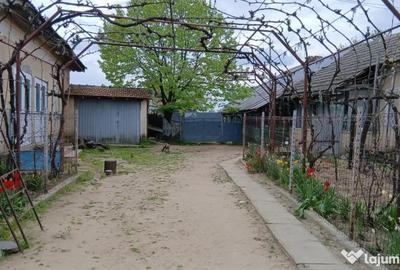 Casă cu 5 camere cu Teren 8481 Mp în Soreni - 3