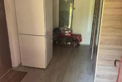 Casă cu 2 camere în Slăvești - 3