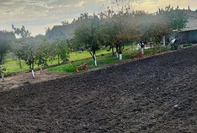 Casă cu 2 camere cu Teren 1080 Mp în Șofronea - 6