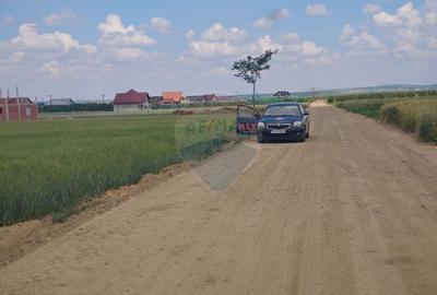 Teren de 6600 mp, în Dumbrăveni - 2