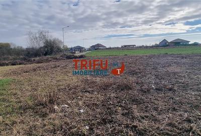 Teren Intravilan de Vanzare in Alba Micesti  Oportunitate Unica! - 4