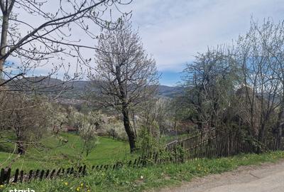 Spațiu comercial, în Ghioșești - 3