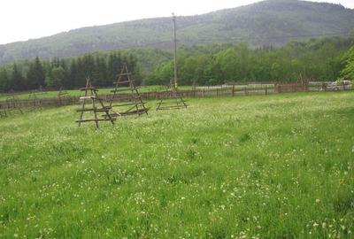 Teren intravilan situat in Traisteni - 8