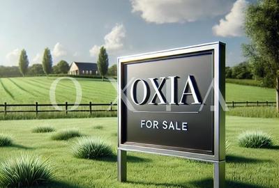 AX1105 Teren Intravilan Bucovat, Strada Principala, 40.600 MP - 16 Euro/MP AX1105 Teren Intravilan Bucovat, Strada Principala, 40.600 MP - 16 Euro/MP - 4