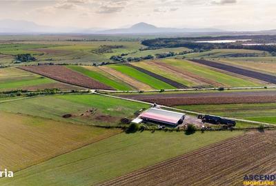 Teren de 18000 mp, în Feldioara - 13