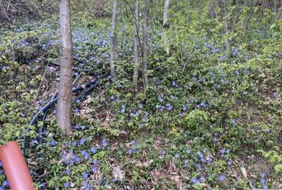 Spațiu comercial, în Valea Roșie - 1