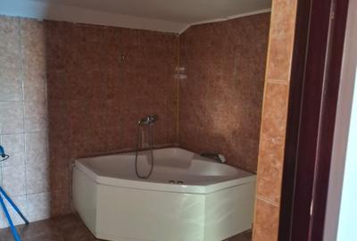 Spațiu industrial, în Coșereni - 11