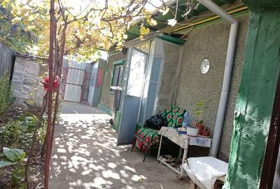 Casă cu 4 camere în Radu Negru - 6
