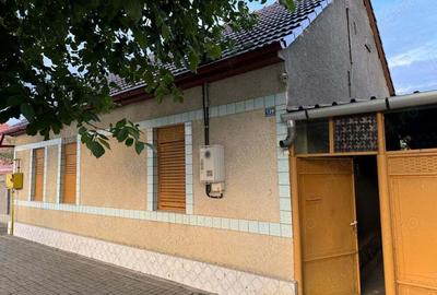 Casa de vanzare in orasul Deta - 1