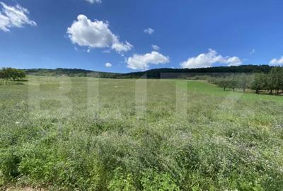 Teren de 19213 mp, în Central - 5