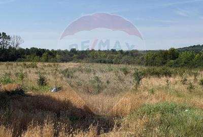 Teren Intravilan Craiova 2500 mp Strada Popoveni - 4