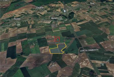 Teren Peris - Crevedia, Ilfov - 3