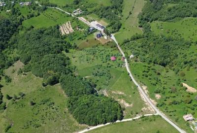 Teren de 12700 mp, în Codru Butesii - 4