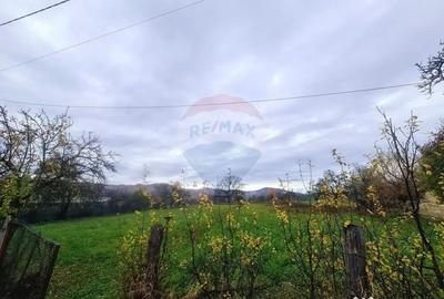 Teren de 7370 mp, în Mera - 4