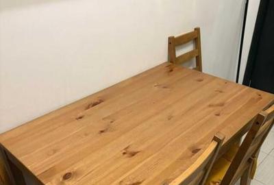 Dimitrie leonida demisol popesti - 6