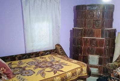 Casă cu 3 camere în Călina - 2