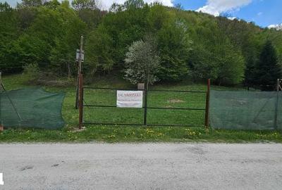 Teren de 2450 mp, în Bulz - 8