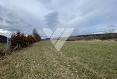 Teren intravilan pentru dezvoltare rezidentiala 4400 mp - 1