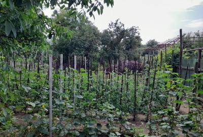 Casă cu 4 camere în Valea Soarelui - 4