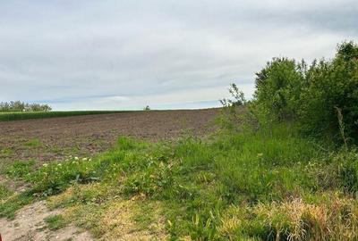 Spațiu comercial, în Central - 2