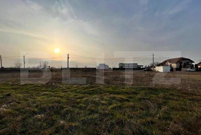 Teren de 1999 mp, în Central - 6