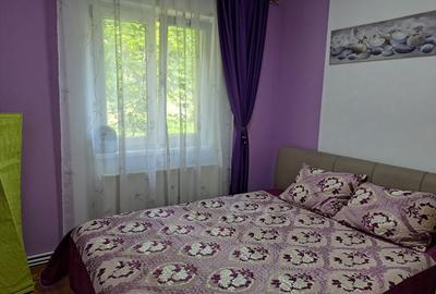 Apartament 2 camere 48 mp, parter, Grivitei - 4
