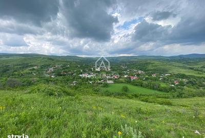 Teren de 15900 mp, în Năeni - 20