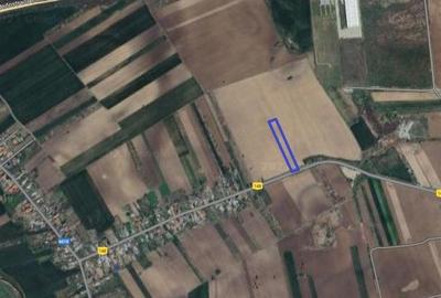 Vanzare teren 5.000 mp, stradal, DC 148 Bolintin Deal - Poenari