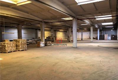 Hala/depozit/spatiu industrial Jilava - Giurgiului, ILFOV - 9