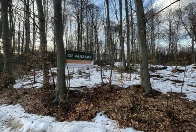 Teren de 3025 mp, în Central - 3