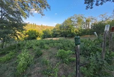 Casă cu 3 camere în Băneasa - 4