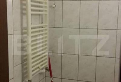 Garsoniera de inchiriat, 24mp, zona Tudor Vladimirescu Garsoniera de inchiriat, 24mp, zona Tudor Vladimirescu - 3