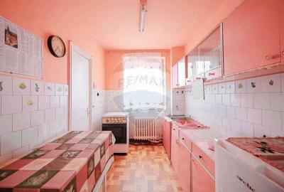 Apartament cu 2 camere semidecomandat, mobilat în Rogerius - 5