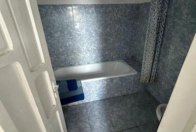 Imobil in Comuna Salcia Jud. Teleorman + 7500 mp teren intravilan - 4