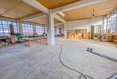 Spațiu industrial, de 1,473 mp, în Tulgheș - 14