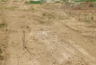 Teren de 3500 mp, în Theodor Pallady - 2