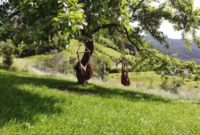 Casă cu 4 camere în Râu Sadului - 4