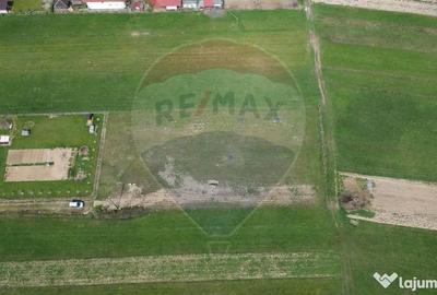 Teren de 1343 mp, în Cătălina - 6