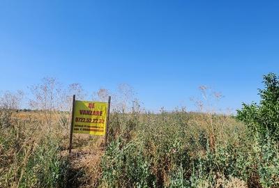 Frumusani, Pasarea, stradal DJ, ideala investitie, intravilan - 5