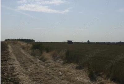Teren de 30000 mp, în Cârcea - 1