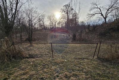 Teren Plaiu_Provita de Sus- intravilan 5373 mp_deschidere... - 2