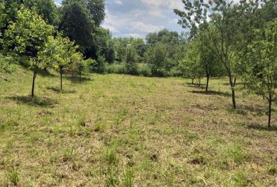 Teren de 2800 mp, în Micești - 2