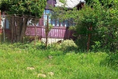 Casă individuală cu 3 camere cu Teren 15554 Mp în Central - 10