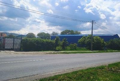 Spațiu comercial, în Cărpiniș - 3