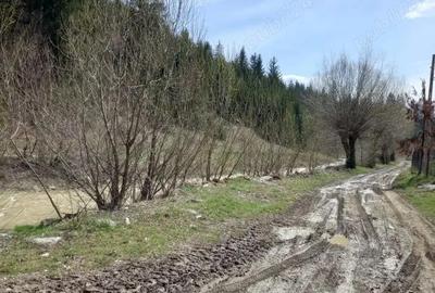 Vand teren Humor - Voronet 22.250 mp - 10