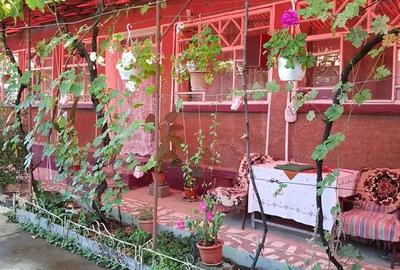 Casă cu 3 camere în Șicula - 3