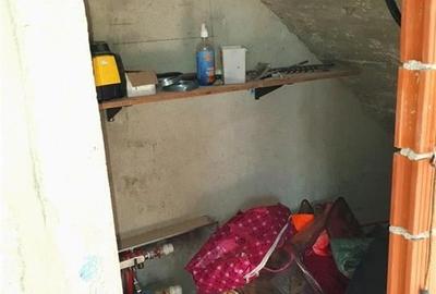 Teren Mare cu 2 case in Biharia. - 25
